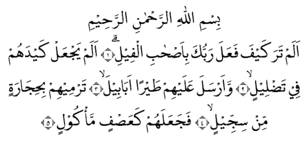 surah alam tara kaifa in hindi surah alam tara kaifa in hindi Deeninvest